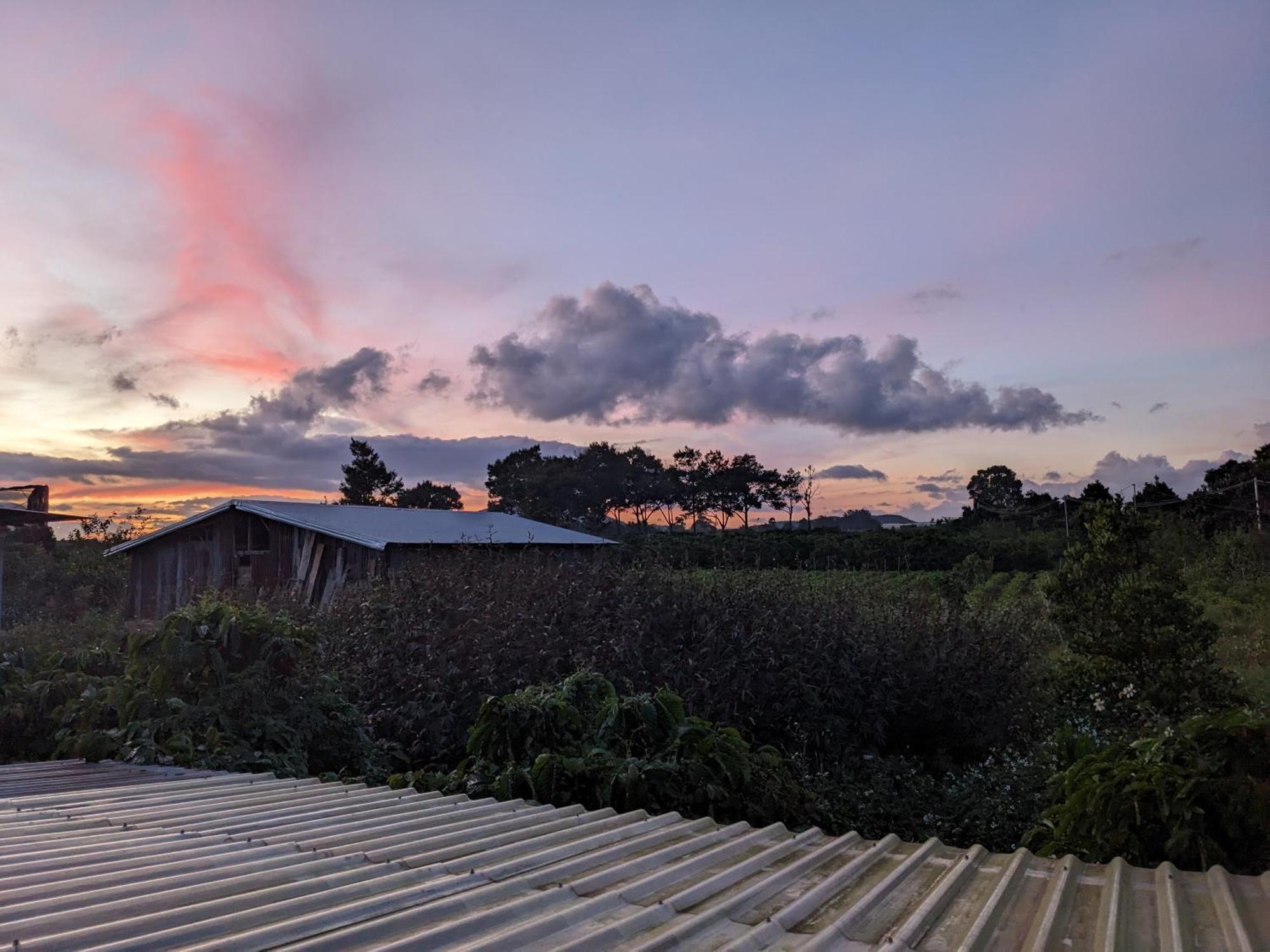 Apartmán Ivy Coffee Farm - Garden House Duc Trong Pokoj fotografie