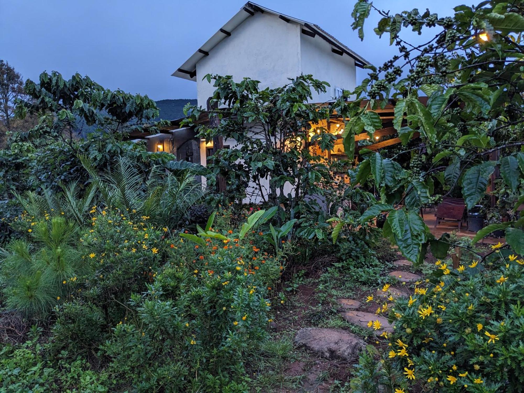 Apartmán Ivy Coffee Farm - Garden House Duc Trong Exteriér fotografie
