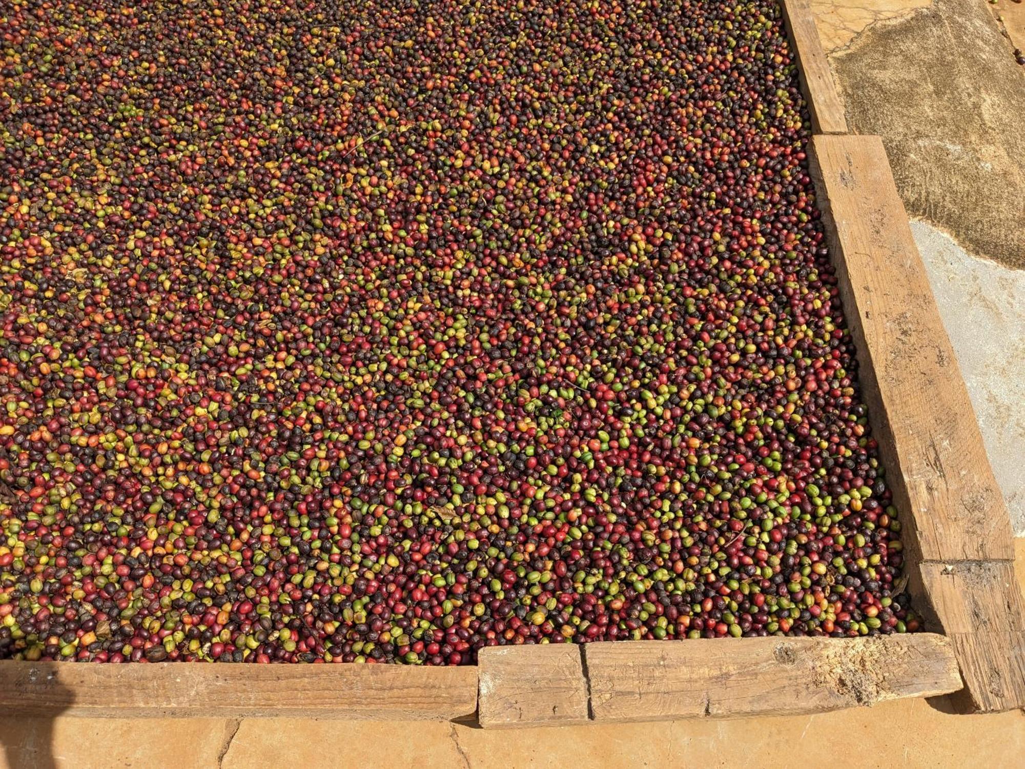 Apartmán Ivy Coffee Farm - Garden House Duc Trong Exteriér fotografie
