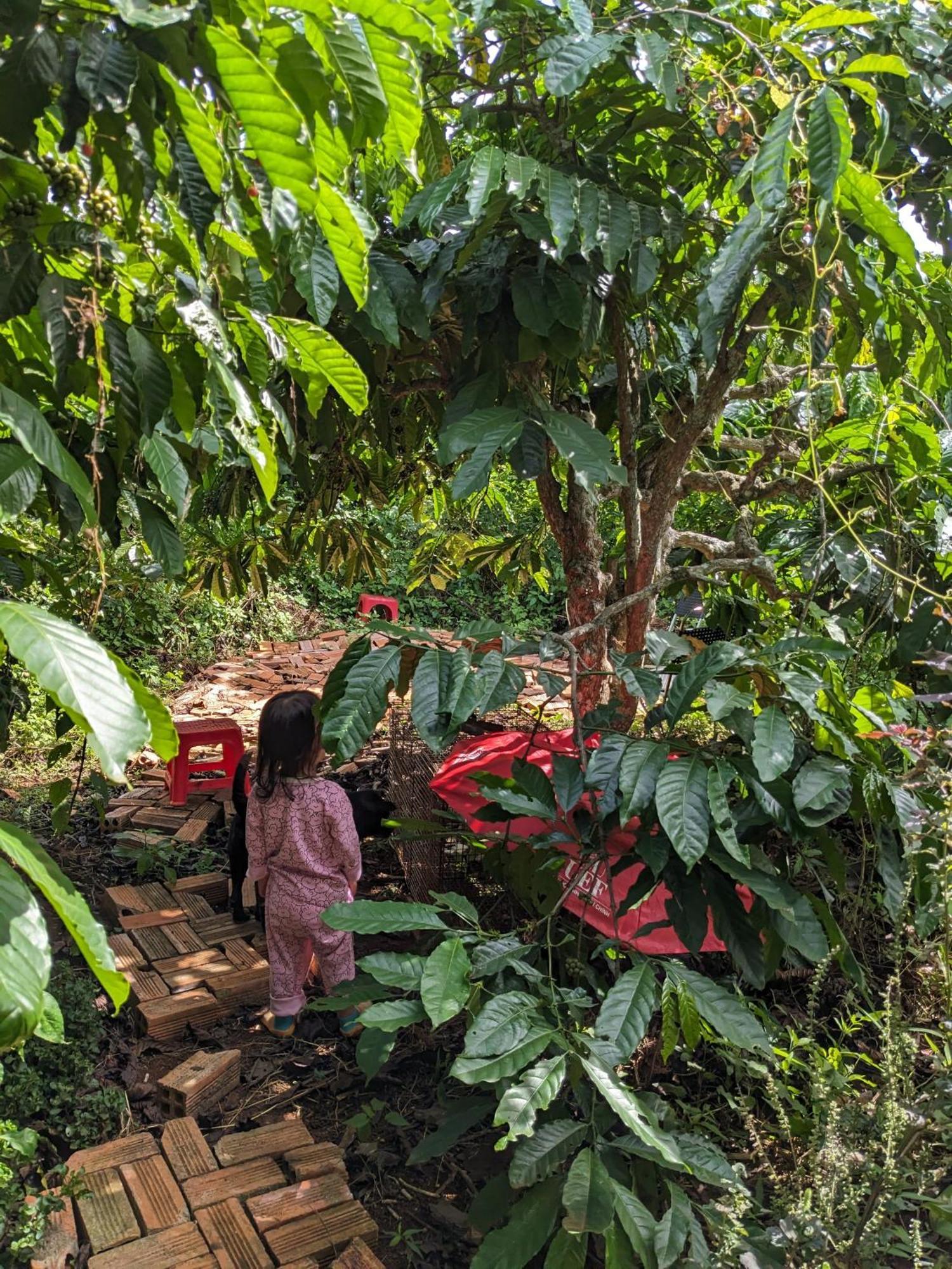 Apartmán Ivy Coffee Farm - Garden House Duc Trong Exteriér fotografie