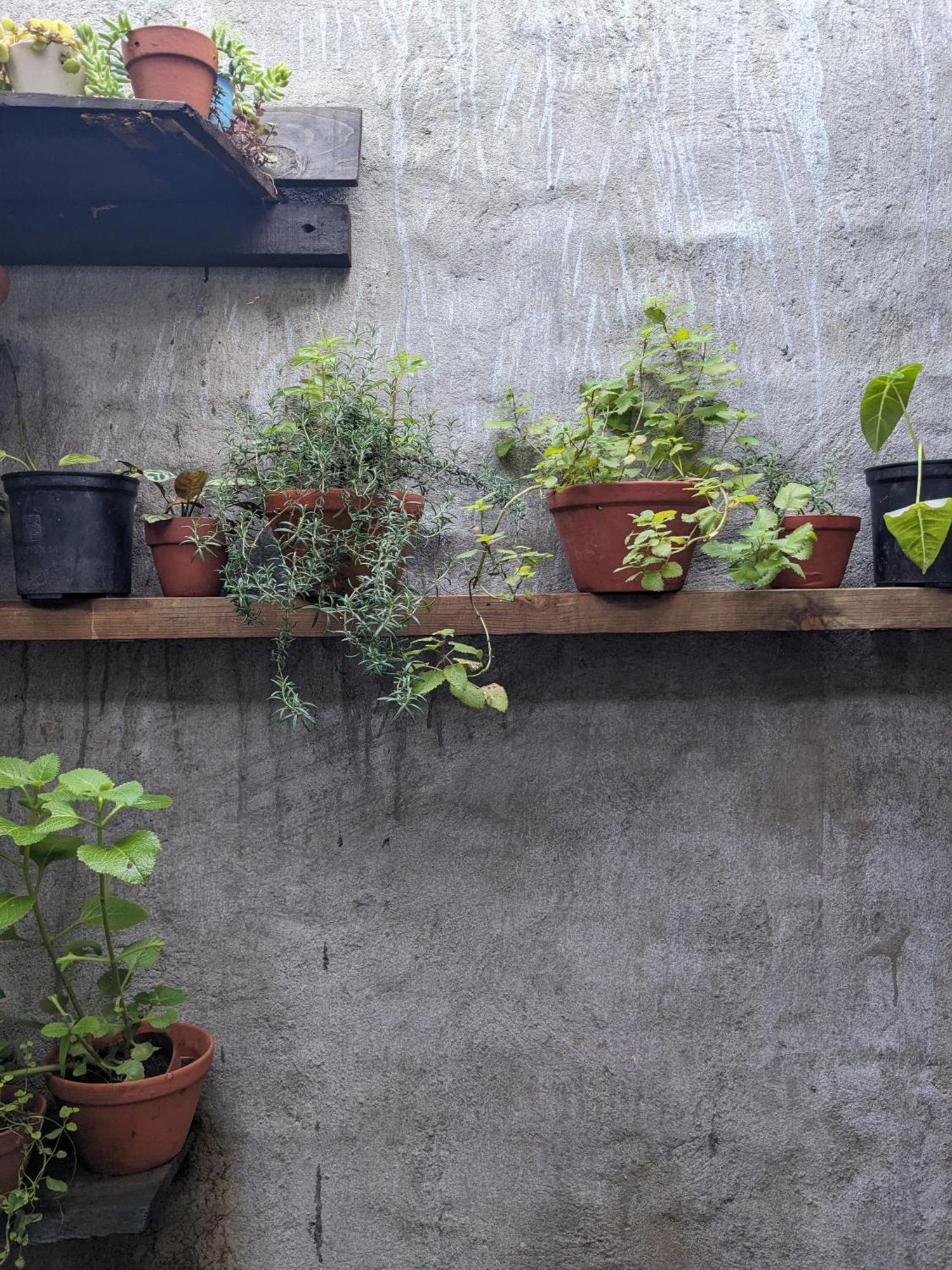 Apartmán Ivy Coffee Farm - Garden House Duc Trong Exteriér fotografie