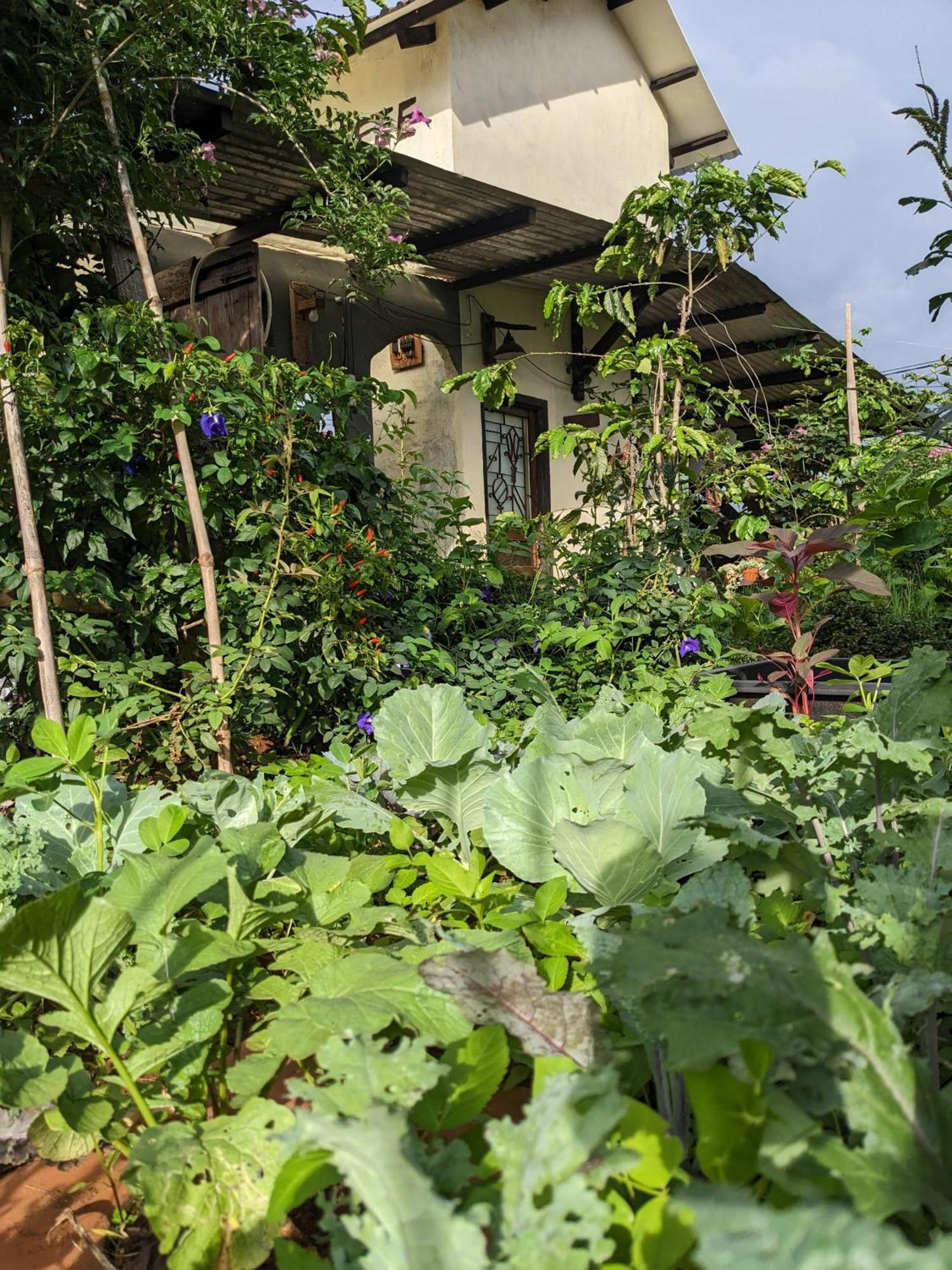 Apartmán Ivy Coffee Farm - Garden House Duc Trong Exteriér fotografie