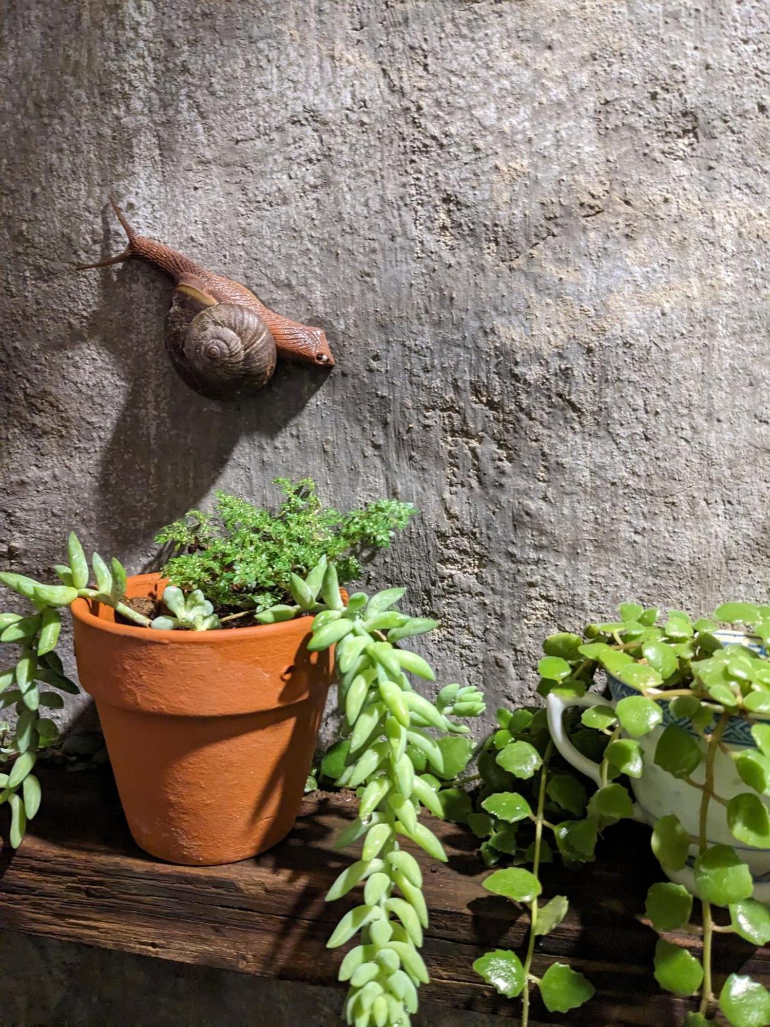 Apartmán Ivy Coffee Farm - Garden House Duc Trong Exteriér fotografie